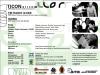 view flyer in a new window