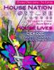 view flyer in a new window