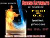 view flyer in a new window