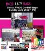 view flyer in a new window