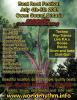 view flyer in a new window