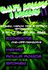 view flyer in a new window